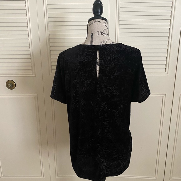 Velvet Blouse - Jaclyn Smith - Picture 6 of 14